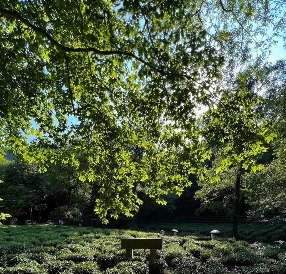 1683682068202827.png Æóҵ΢ÐŽØÍ¼_16836801932194.png