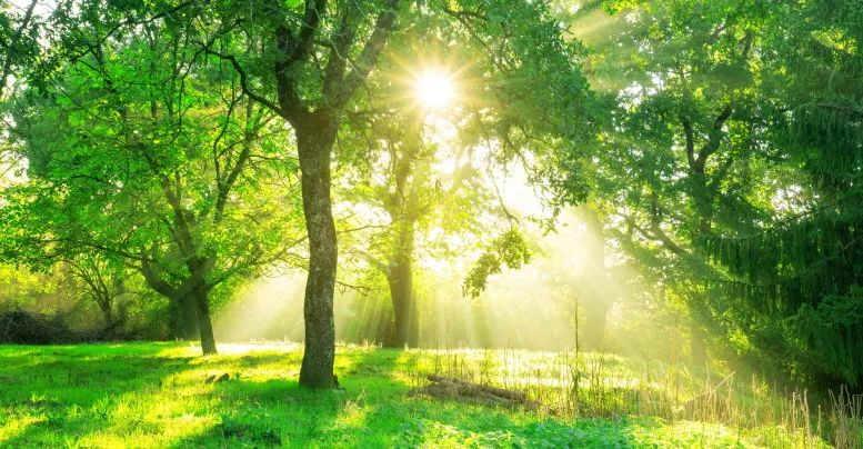 1686895676198263.png Æóҵ΢ÐŽØÍ¼_16862929184736.png