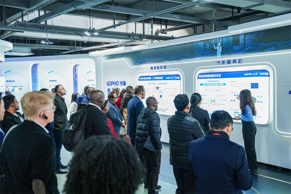 1734339405738152.jpg 3-1000.jpg